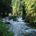 Kościeliski Potok